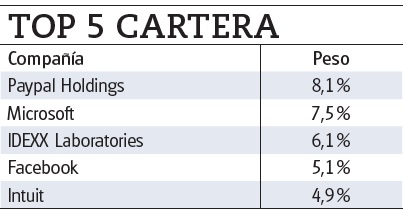 Los 5 principales valores de la cartera del fondo